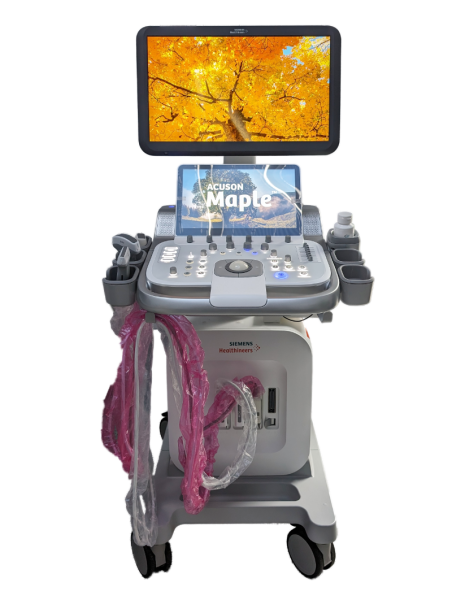 Siemens ACUSON Maple (Demo System)​