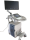 GE Voluson E8