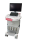 GE Voluson E10