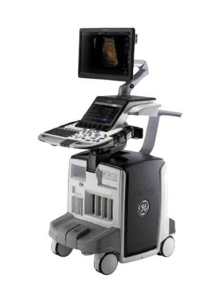 GE Logiq E10