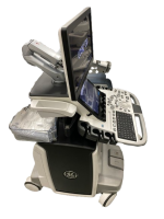 GE Logiq E10