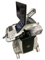 GE Logiq E10