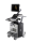 GE Logiq E10